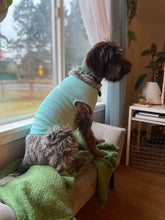 Load image into Gallery viewer, PNW Dog Shirts - Chill Blue
