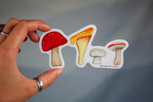 Load image into Gallery viewer, Mushroom Sticker by MaryGold Tales
